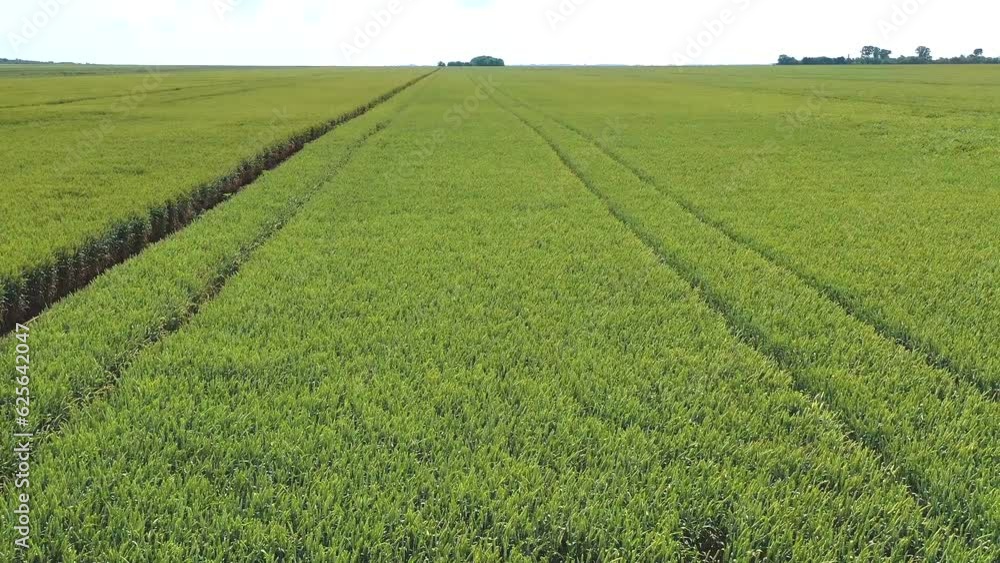 The work of agricultural machinery. Field.