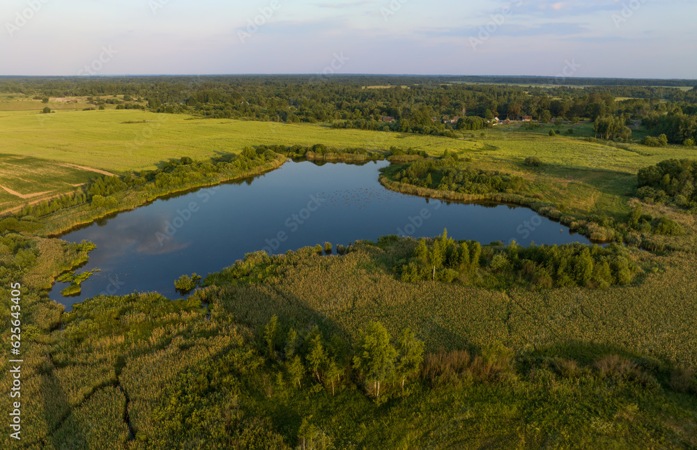 Pond in countryside, aerial view. Small lake in agricultural field near forest. Rural landscape. Wet, wild Pond with clean water. Wildlife Refuge Wetland Restoration, groundwater. Green Nature.