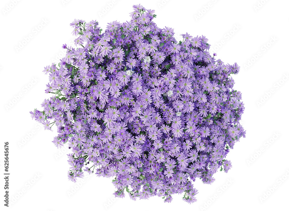 Obraz premium bunch of purple flowers isolated