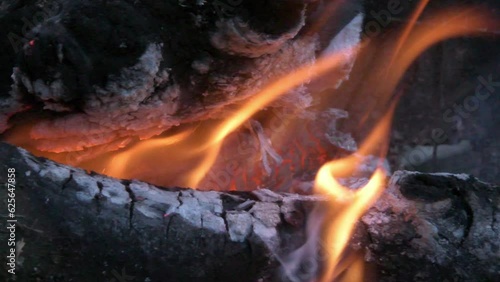 Wallpaper Mural open fire burning in campfire at evening outdoor. close up  Torontodigital.ca