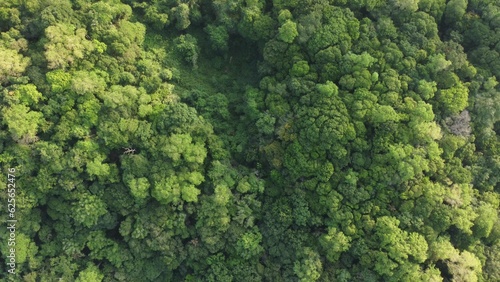 Sri Lankan Forest droneview