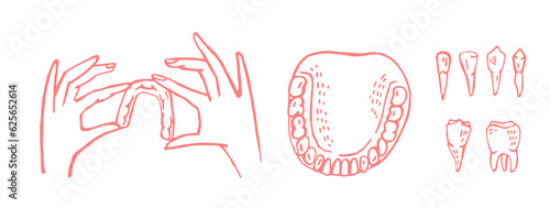 Orthodontic silicone trainer. Invisible braces retainer. Vector illustration