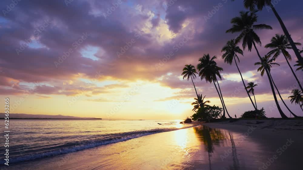 Ocean waves on the sand of a tropical beach against a beautiful sunset with palm trees. Evening cruise along the coast. Exotic summer vacation or holiday landscape. Sea sunset on the coast. Ocean waves on the sand of a tropical beach against a beautiful sunset with palm trees. Evening cruise along the coast. Exotic summer vacation or holiday landscape. Sea sunset on the coast.
