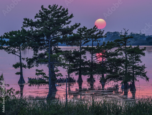 Tableau sur toile Louisiana bayou sunset