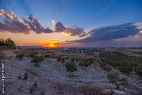 typical Andalusian landscape during sunset, Spain