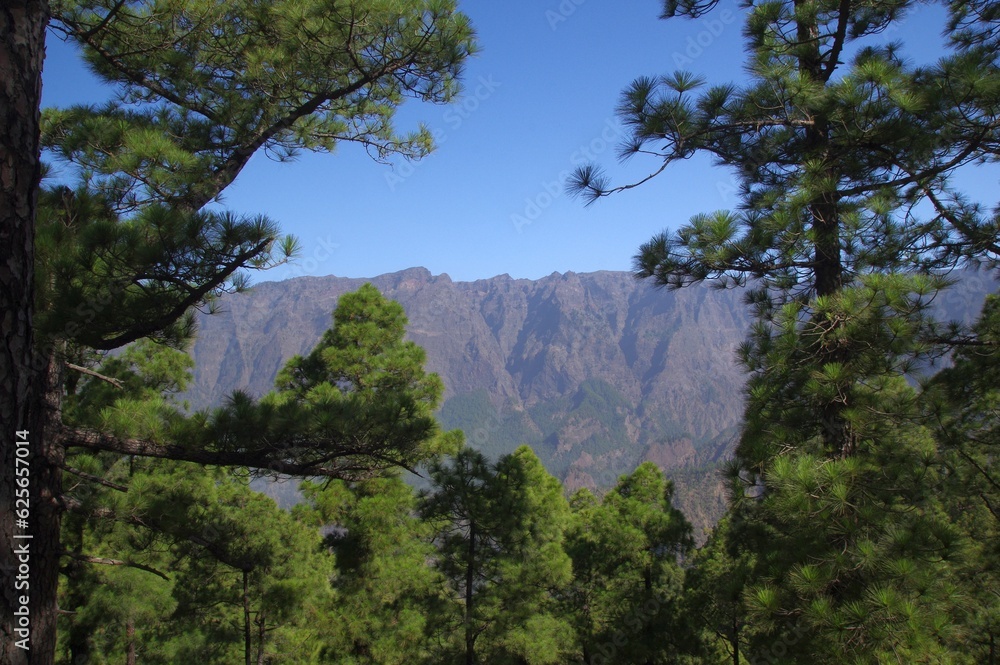 La Palma in der Caldera La Palma in der Caldera