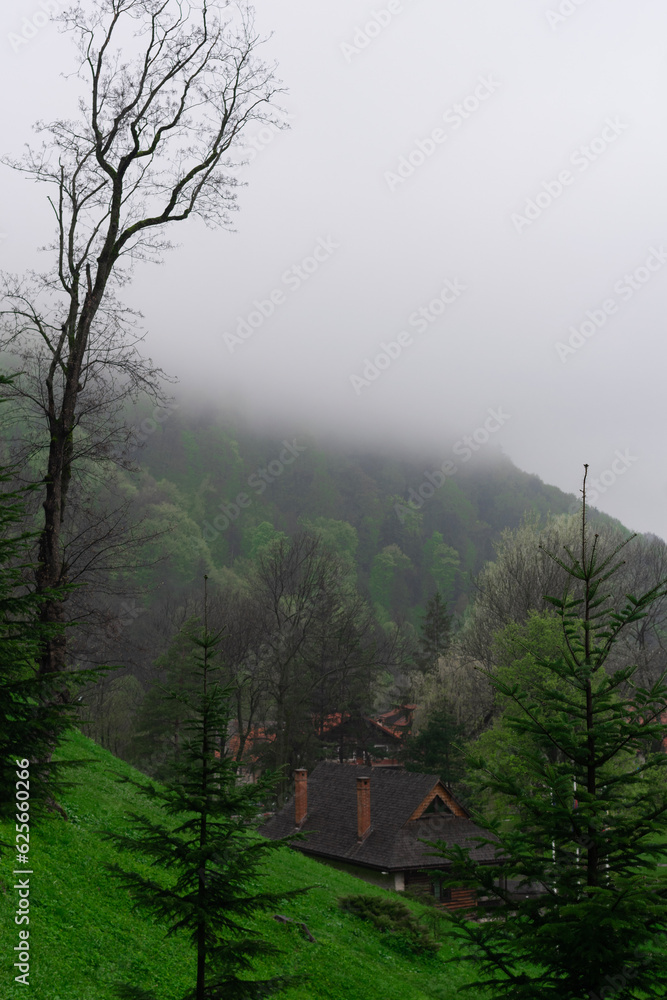 fog in the mountains fog in the mountains