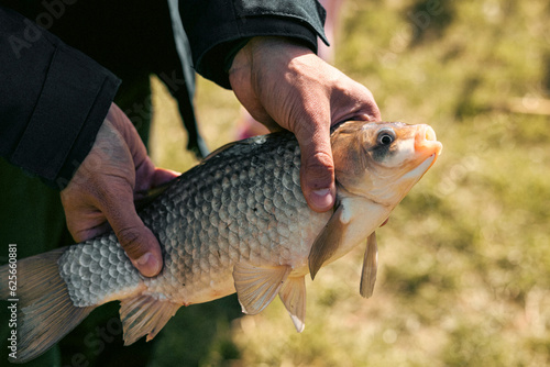 A closeup of a fishman holding a freshwater fish on the banks of a river. photo