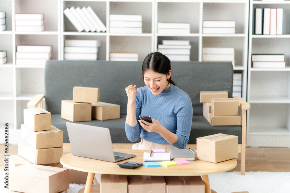 Portrait of Starting small businesses SME owners female entrepreneurs working on receipt box and check online orders to prepare to pack the boxes, sell to customers, SME business ideas online. Portrait of Starting small businesses SME owners female entrepreneurs working on receipt box and check online orders to prepare to pack the boxes, sell to customers, SME business ideas online.