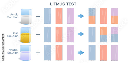 Litmus paper and change in color with reaction with acids vector. Litmus test in chemistry to determine the solution is acidic or basic. General chemistry experiments or exam. Tyeps of paper is dipped