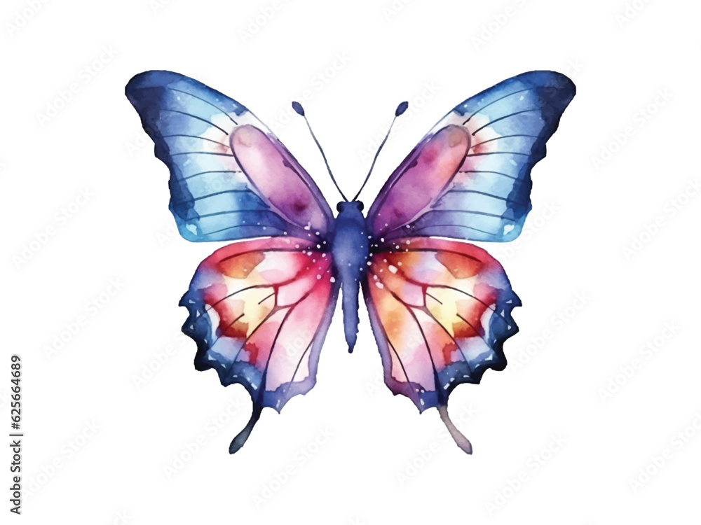 watercolor butterfly isolated on white background watercolor butterfly isolated on white background