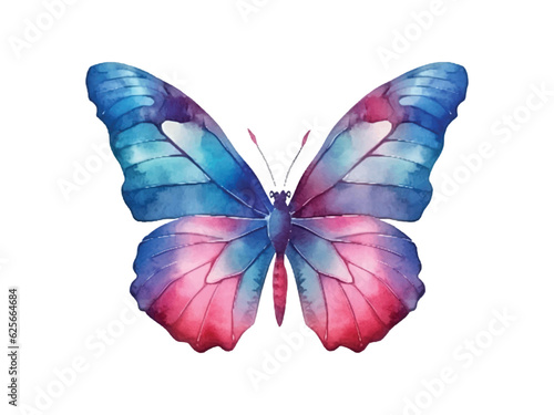 watercolor butterfly isolated on white background