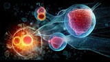 the potential of stem cells in tissue regeneration, organ transplantation, or cellular therapies. Generative AI