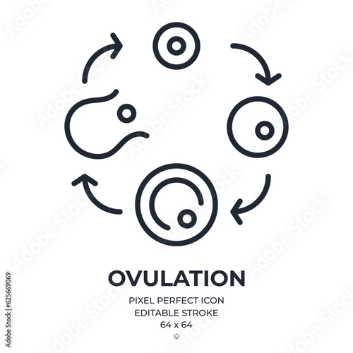Ovulation process editable stroke outline icon isolated on white background flat vector illustration. Pixel perfect. 64 x 64.
