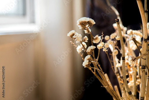 Background image or template of white and dry natural flowers in a warm and cozy natural light environment. Copy space photo