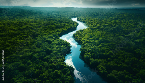 A River Winds Its Way Through Dense Jungle