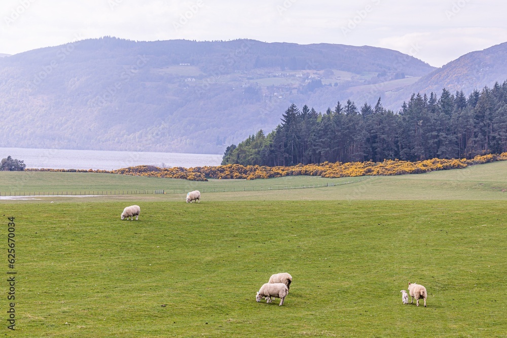 Inverness in town and biking to loch ness