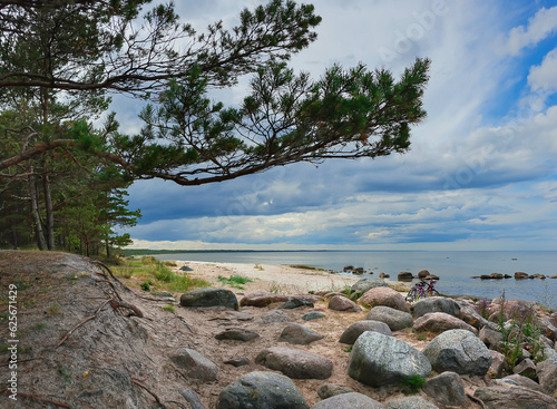 Pine forests in the sand dunes on the Kaltene Beach shore is covered with glacial stones that stretches up to Roja Town in Latvia. Kaltene Beach is a great place for quite beach holidays and beach hik