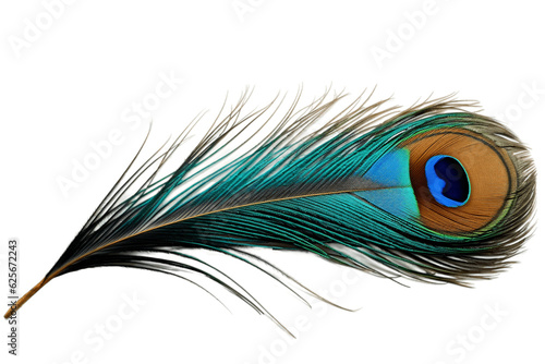 Single Peacock Feather on Transparent Background. AI