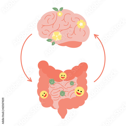 Connection of cute healthy happy brain and intestine gut. Relation health of human brain and gut, second brain. Unity of mental and digestive. Vector illustration on white background