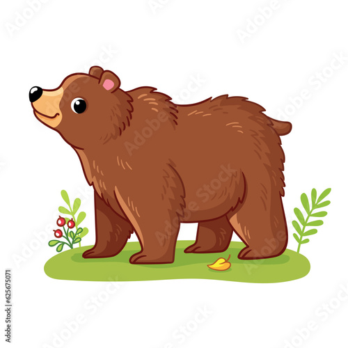 Brown bear stands in a forest clearing. Vector illustration with forest animal.