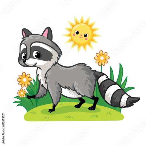 Cute raccoon stands on a green summer meadow. Vector illustration with animal.