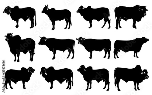 ox silhouette collecton, bullock vector 