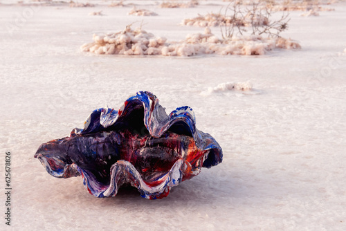Colored shell on the background of a pink dry salt lake.