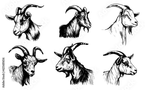 set of goat line drawing , silhouette 