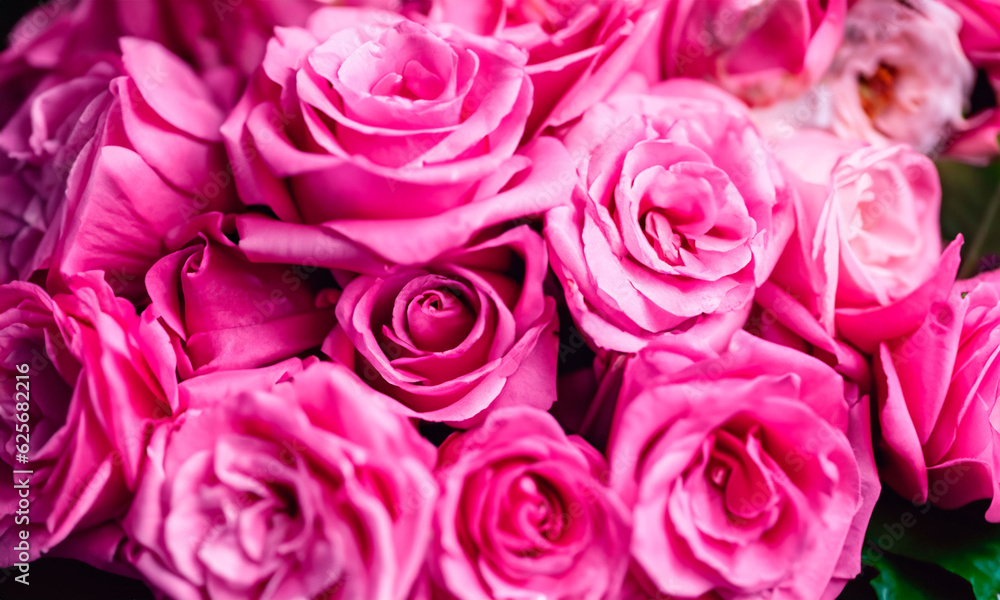 bouquet of pink roses texture of flowers bouquet of pink roses texture of flowers