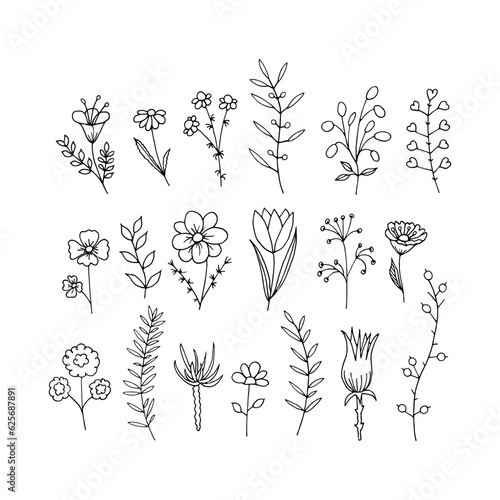 Hand-draw vector illustration. Set with wildflowers and grass for your design. Doodle style.