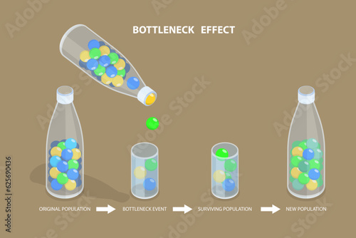 3D Isometric Flat Vector Conceptual Illustration of Bottleneck Effect, Population Impact