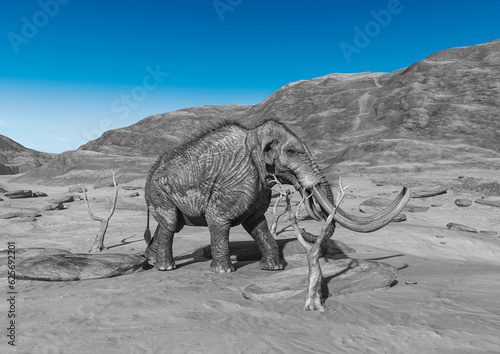 colossadon mammoth is walking among the dead trees on the dry desert
