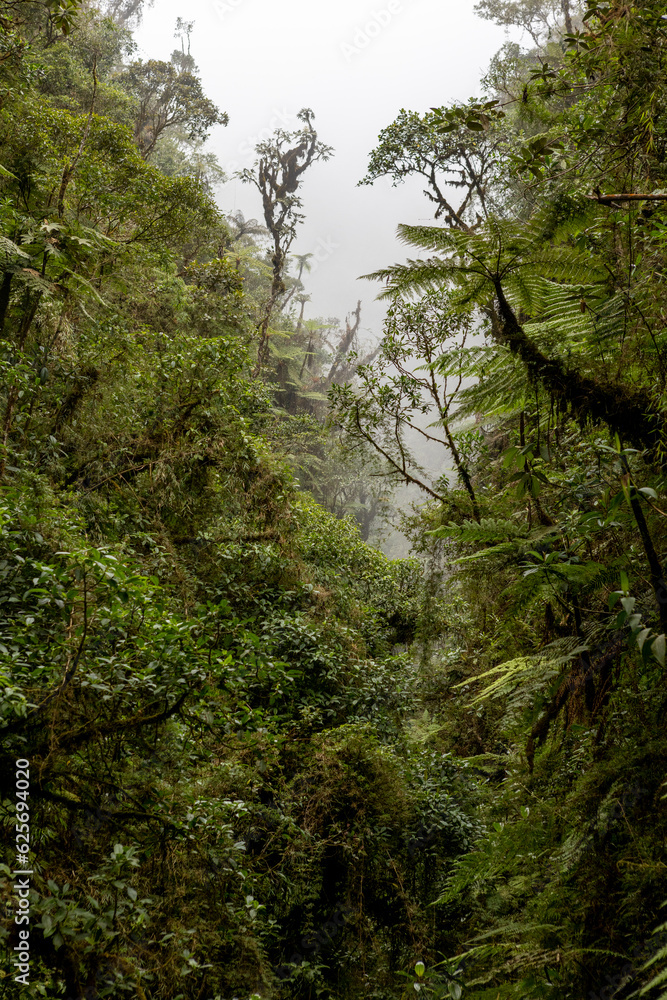 Landscape around the famous death road, the Landscape around the famous death road, the