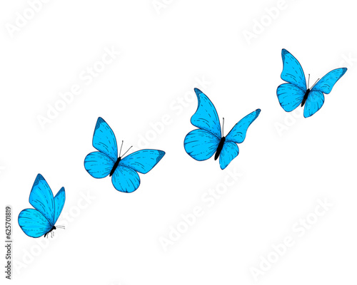 watercolor morpho butterfly