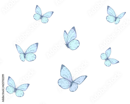 set of butterflies isolated on white