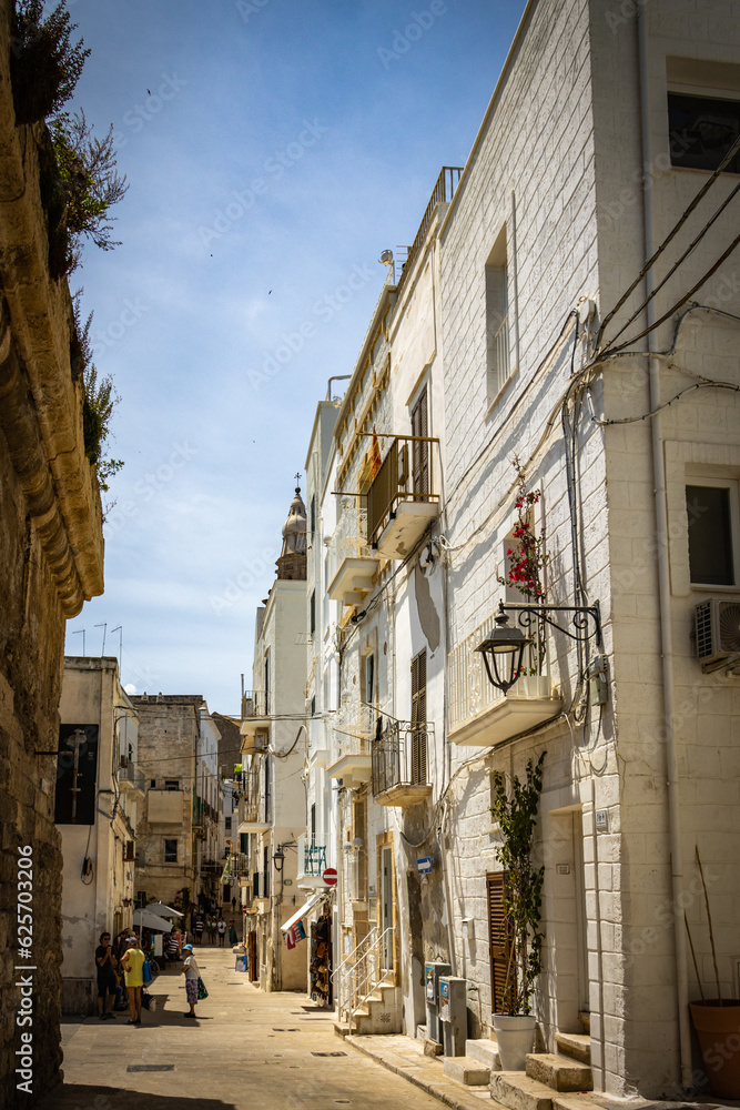 street in old town of monopoli, white facades, puglia, italy, bari, 
