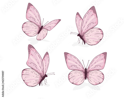 pink watercolor  isolated on white   flying butterflies 