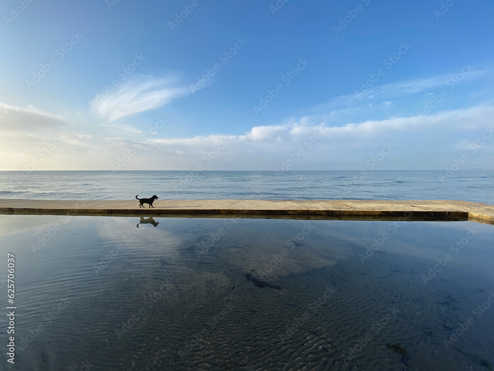 fishing in the sea