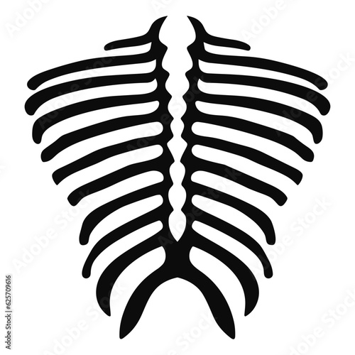 Abstract ribcage bones vector