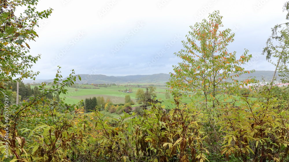 Fototapeta premium German landscape with farm fields and trees