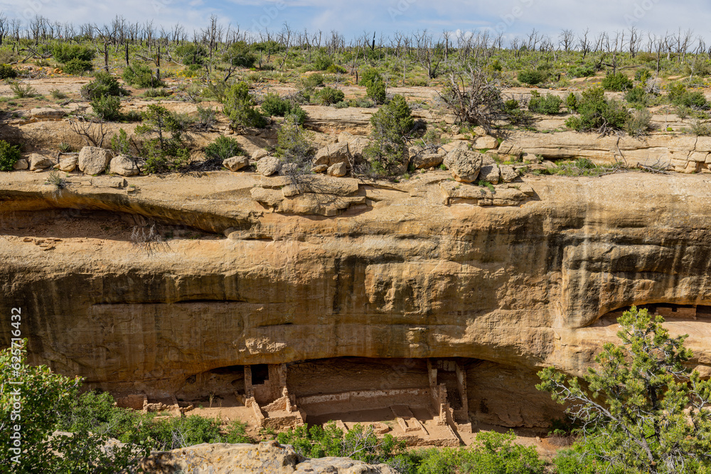 Sunny view of the historical ruins in Mesa Verde National Park