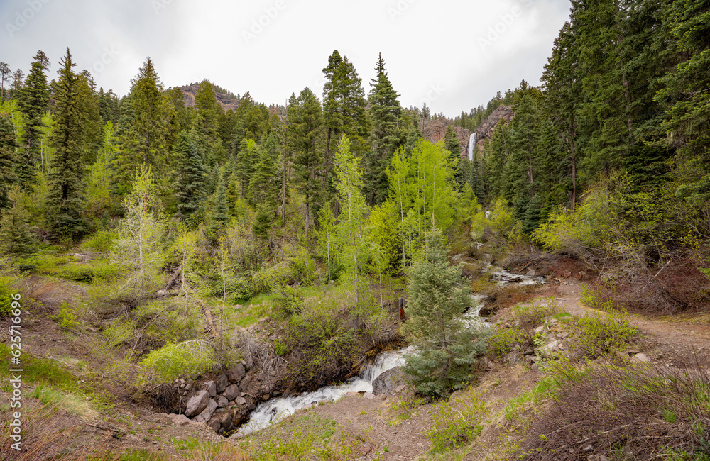 Daytime view of the landscape of Treasure Falls Daytime view of the landscape of Treasure Falls