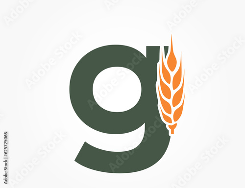 lowercase letter g with wheat ear. creative harvest and organic food alphabet logo. agriculture and cereal farming