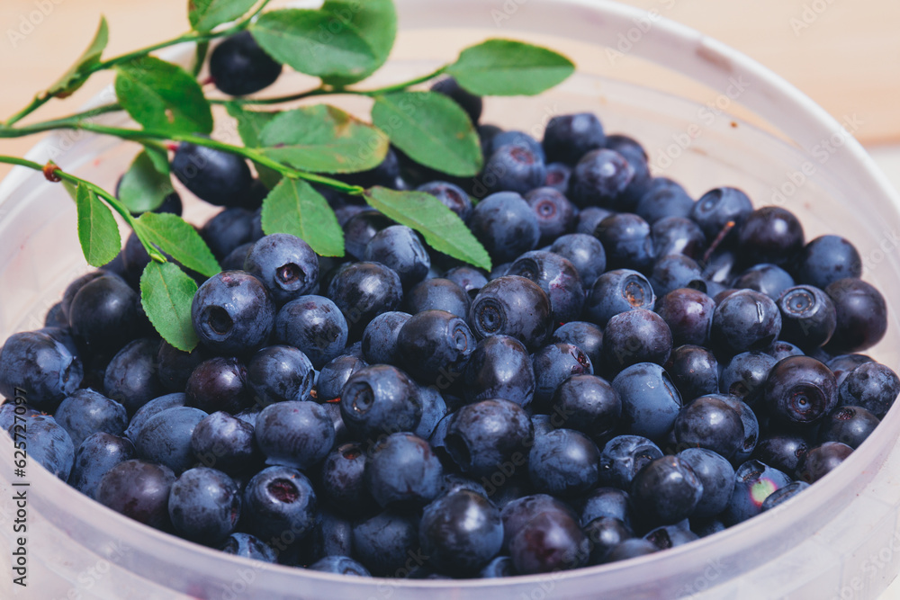 Fresh blueberries closeup in plastic white bucket with fresh branches with green leaves. Ripe blueberries. Macro shot. Fresh blueberries closeup in plastic white bucket with fresh branches with green leaves. Ripe blueberries. Macro shot.