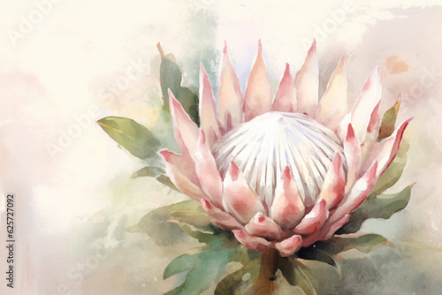 Watercolor painting of a protea flower on a watercolor background