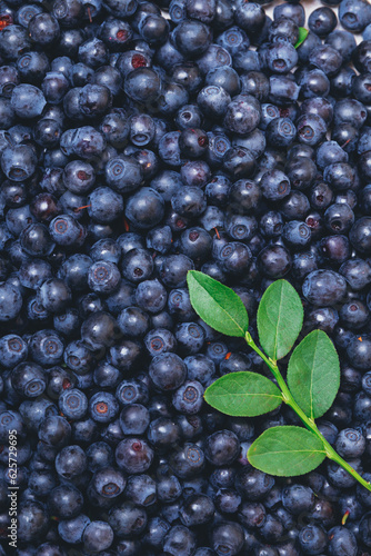 Fresh blueberries partly covered by fresh branch with green leaves. Ripe blueberries. Macro shot. Top view.