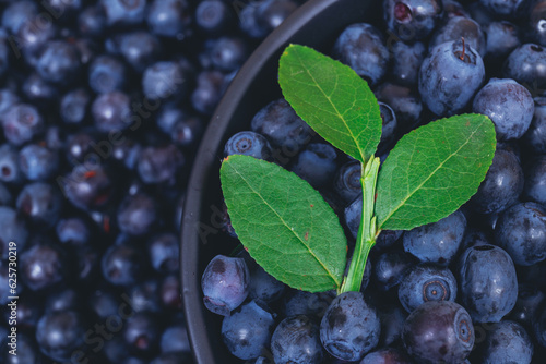 Fresh blueberries with a green branch on top in black bowl on blueberries background.  Macro shot. Bowl filled with ripe blueberries.