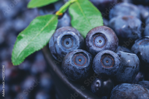 Fresh blueberries with a green branch on top in black bowl on blueberries background.  Macro shot. Bowl filled with ripe blueberries.