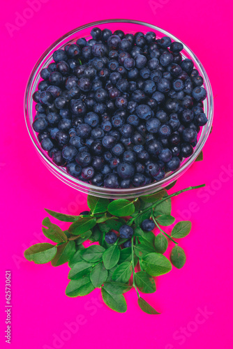 Glass bowl filled with ripe blueberries and a row of lying branches of blueberries with berries on a pink background. Top view